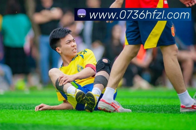 App Interface Preview