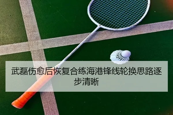 武磊伤愈后恢复合练海港锋线轮换思路逐步清晰