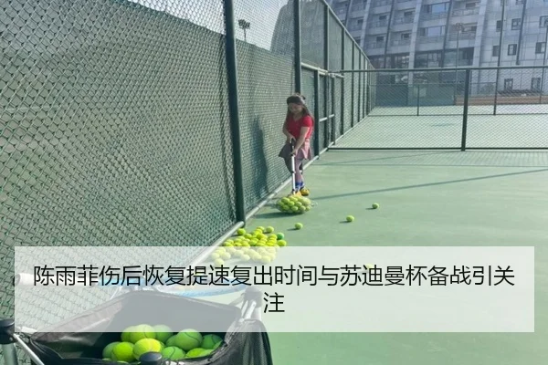 陈雨菲伤后恢复提速复出时间与苏迪曼杯备战引关注